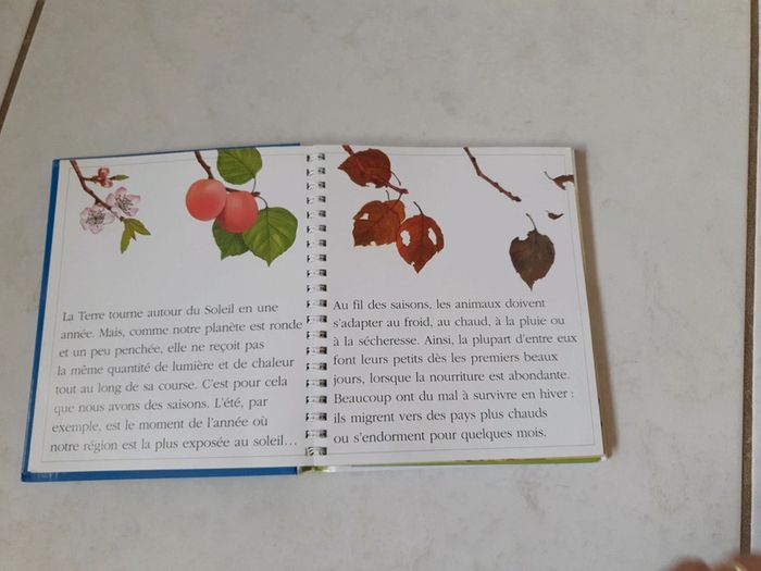 Livre rébus Les saisons - photo numéro 5