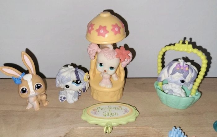 Salon de coiffure beauté littlest pet shop - photo numéro 3