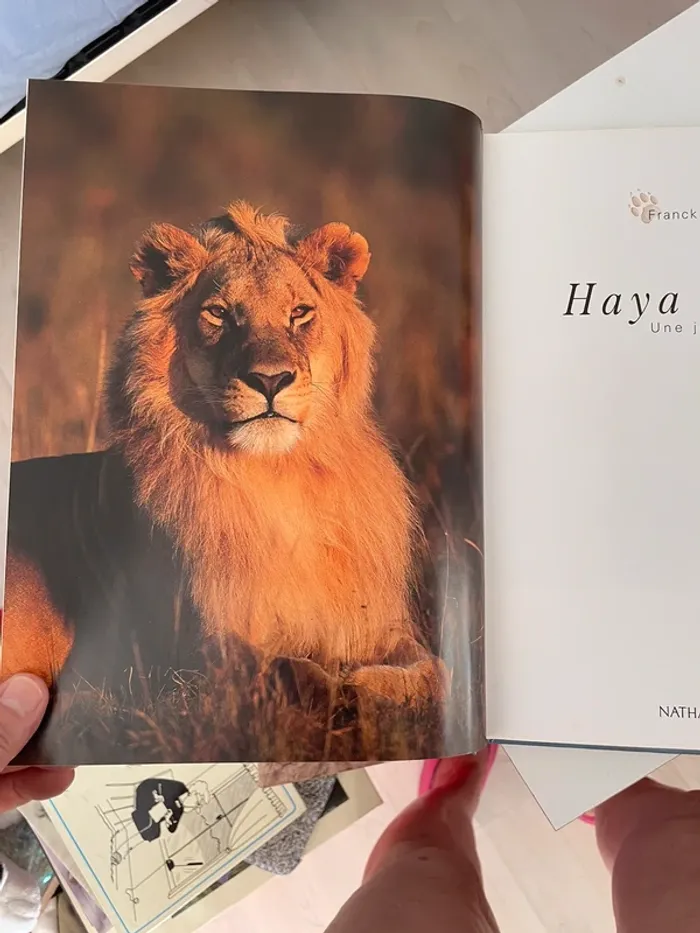 Haya Safari ! une journée au Masaï-Mara - photo numéro 4