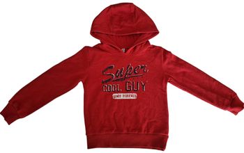 Sweat-shirt à capuche garçon 5 ans TBE