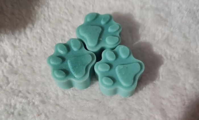 Fondant de cire - photo numéro 2