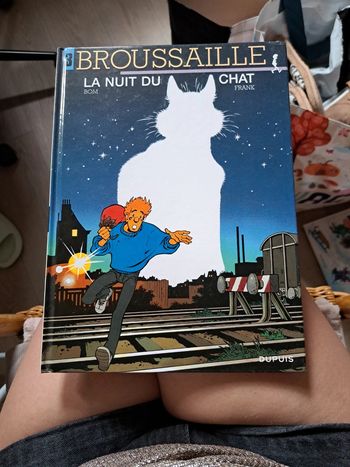 Broussaille: La nuit du chat