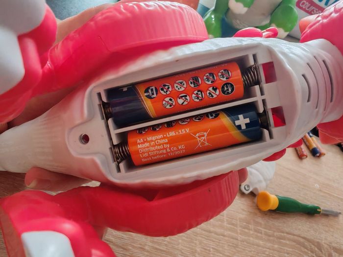 Petit dragon - photo numéro 6