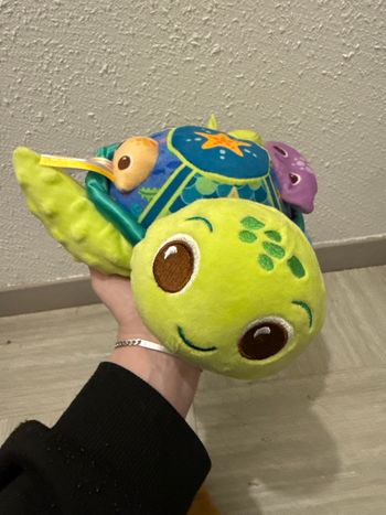 Tortue et son bébé 