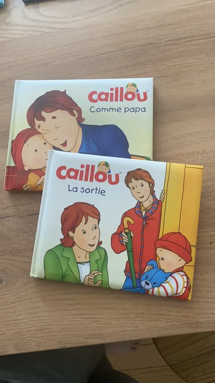Lot de 2 livres caillou