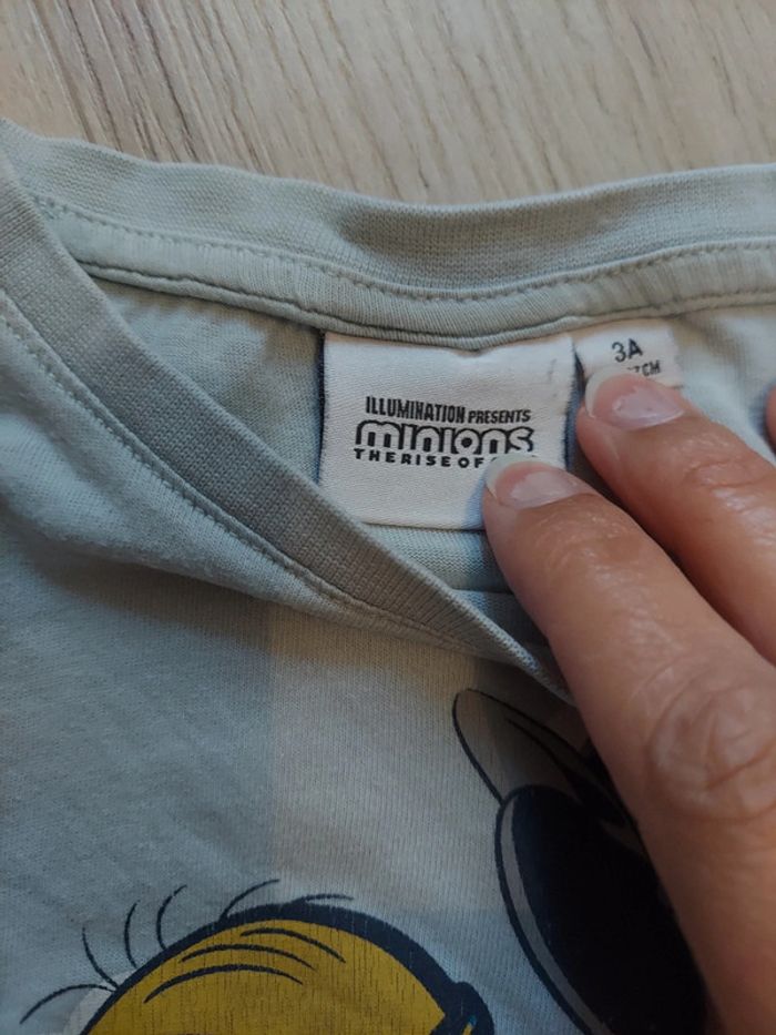 Lot 2 Tee-shirts mc 3 ans - photo numéro 5