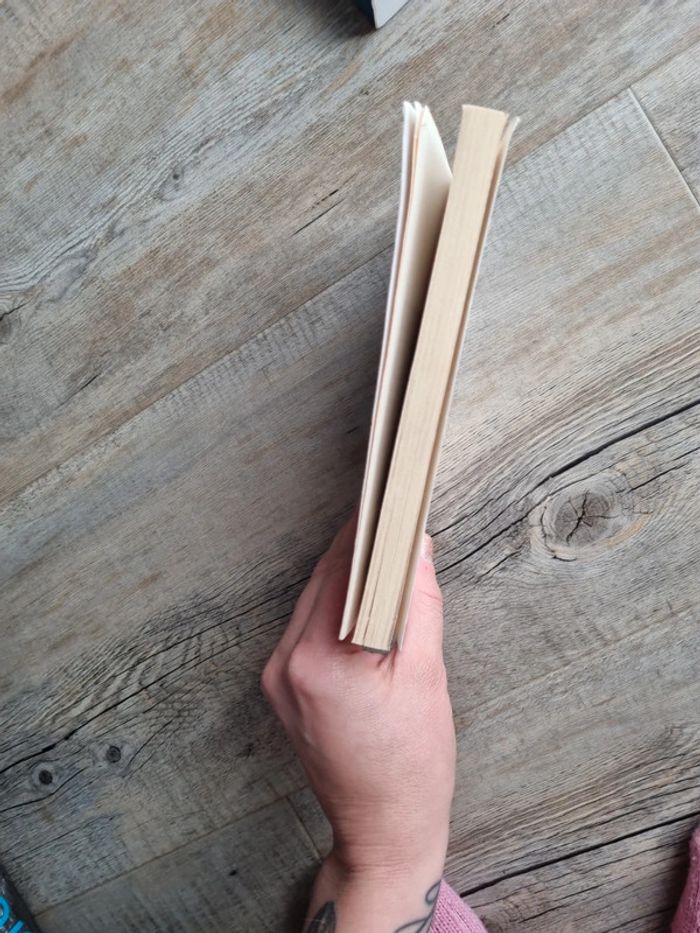 Livre - photo numéro 6