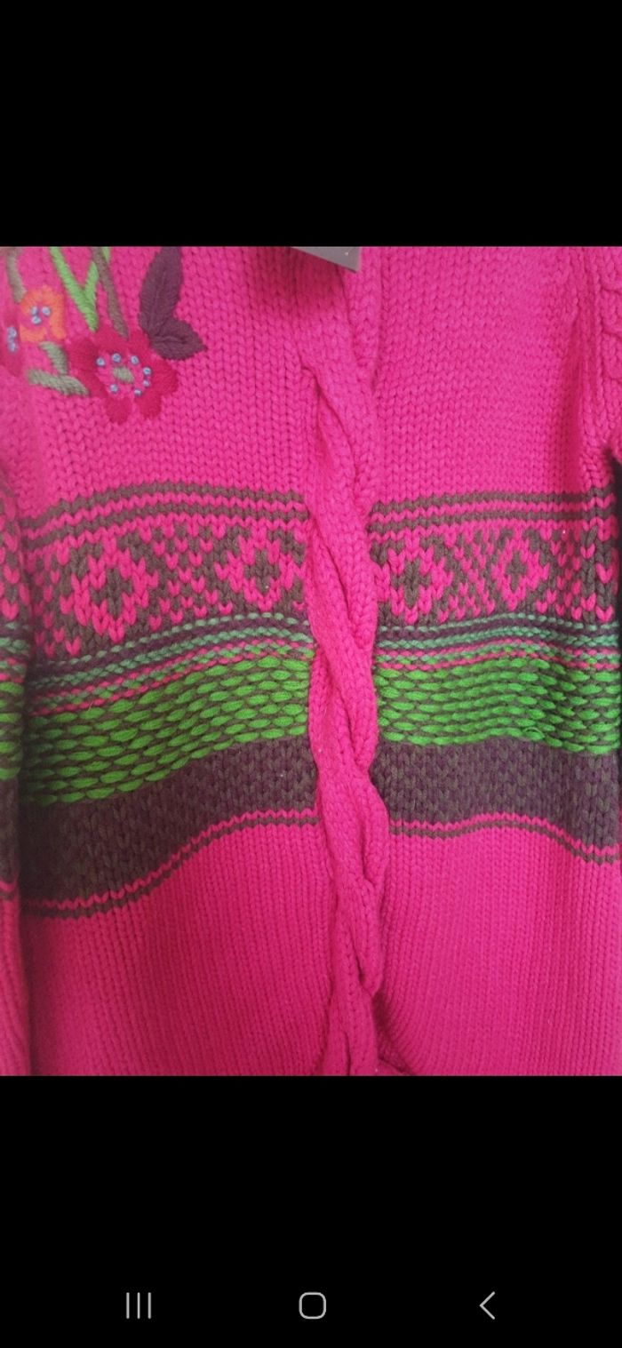 Magnifique veste - photo numéro 5