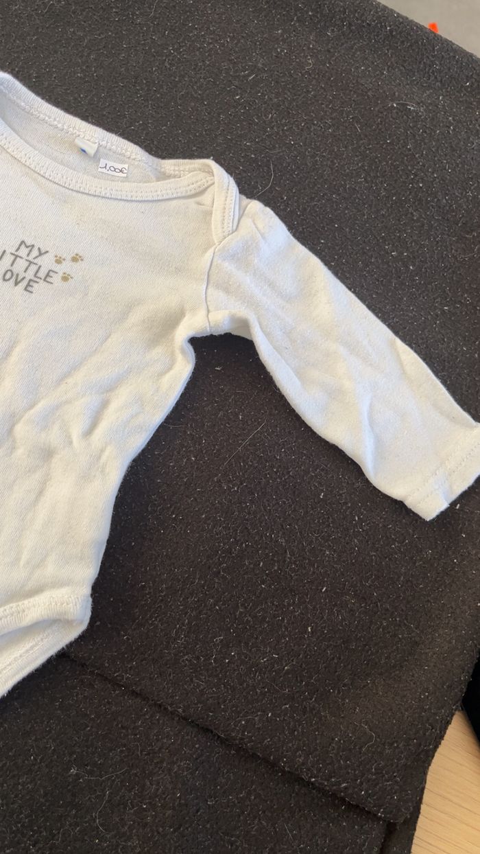 Bodie 3 mois - photo numéro 4