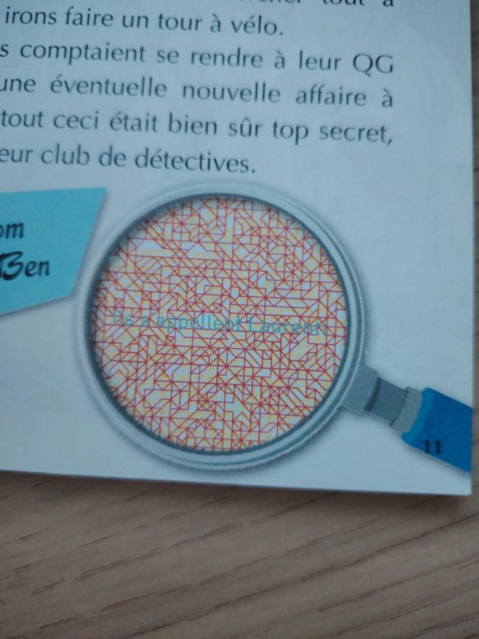 Livre Les petites enquêtes ce2 et cm1 - photo numéro 10
