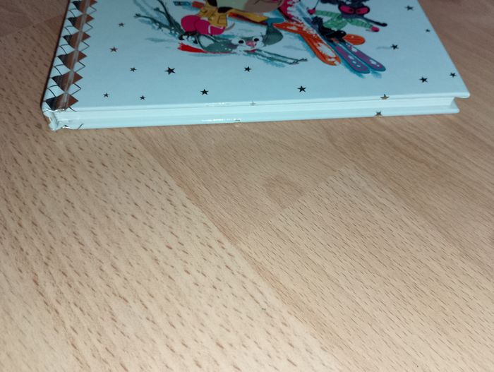 Livre chien pourri fait du ski
- photo numéro 4
