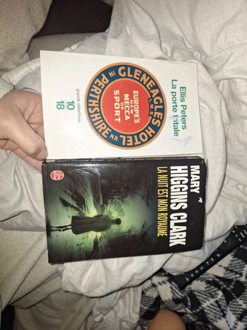 Lot 2 livres policier