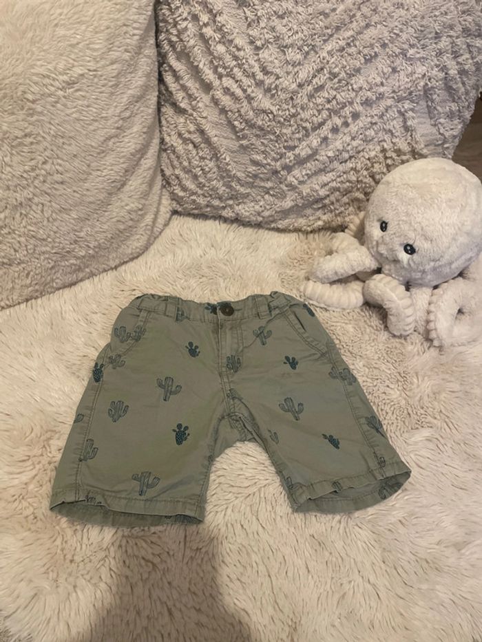 Short cactus 🌵