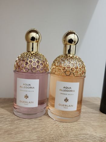 Lot Aqua allegoria 125 ml le parfum
