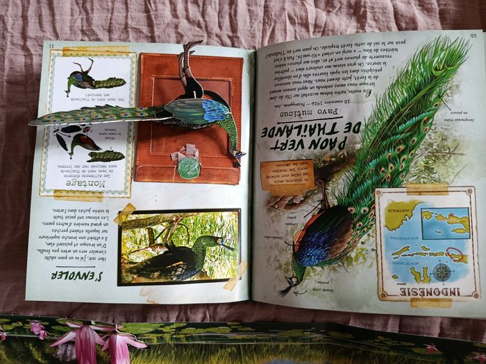 Livre sur les oiseaux exotiques - photo numéro 5