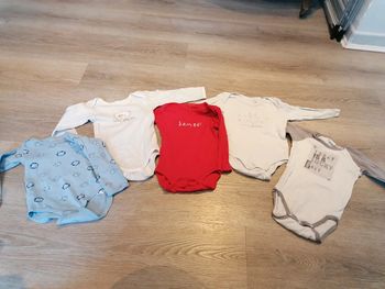 Lot 5 bodys