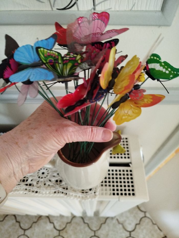 Papillons pour décorer vos plantes d interieur - photo numéro 3