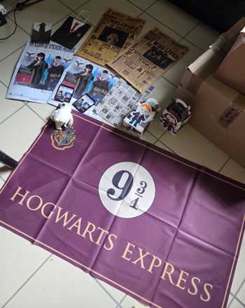 Lot de 13 goodies Harry Potter