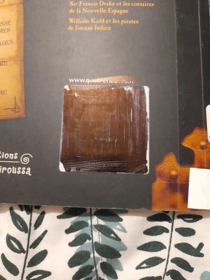 Barbe-Noire et les pirates des caraïbes - photo numéro 11