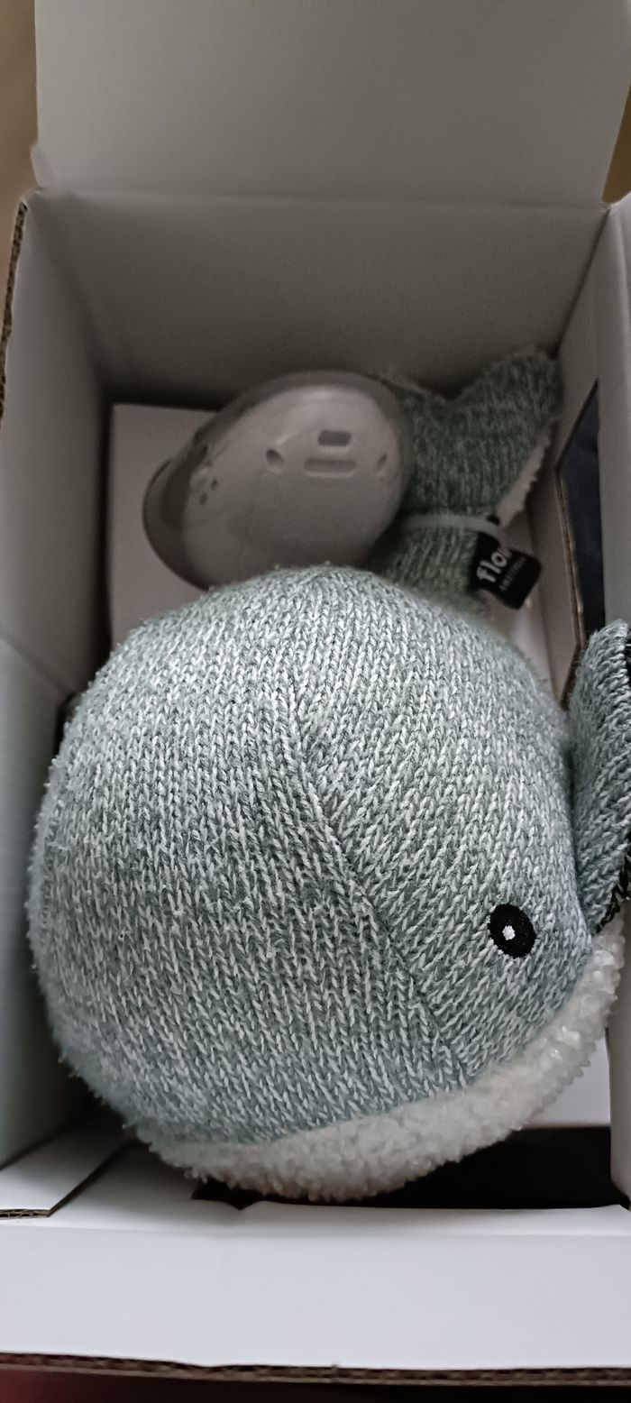 Baleine bruit blanc flow