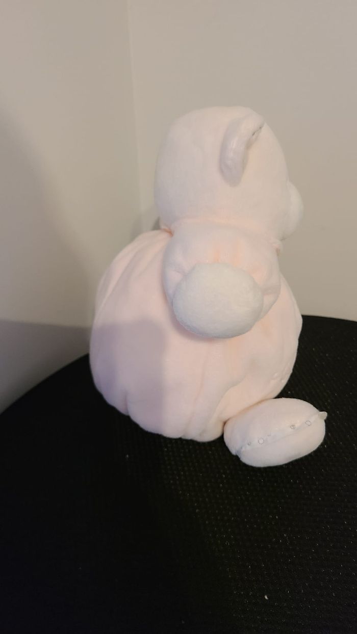 doudou ours - photo numéro 3