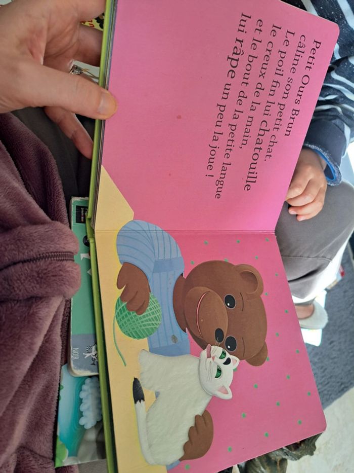 Livre petit ours brun - photo numéro 3