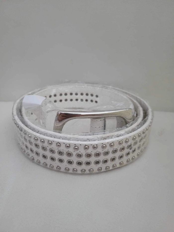 Ceinture - photo numéro 2
