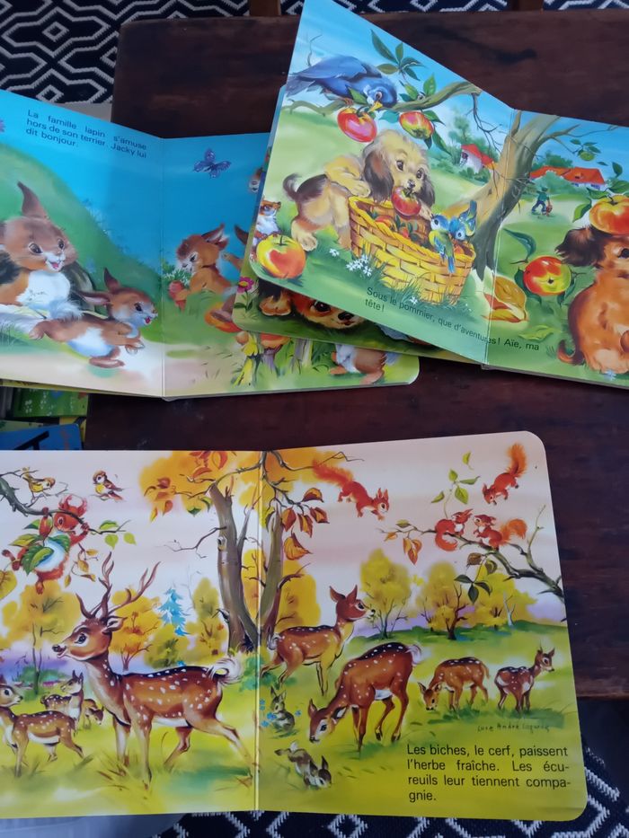 Livres Hemma - photo numéro 2