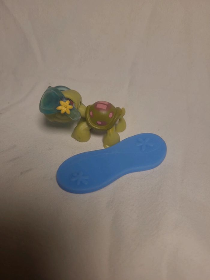 tortue petshop avec son surf - photo numéro 5