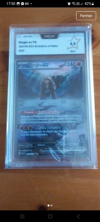 Dinglu alternative ev2 pca 9.5