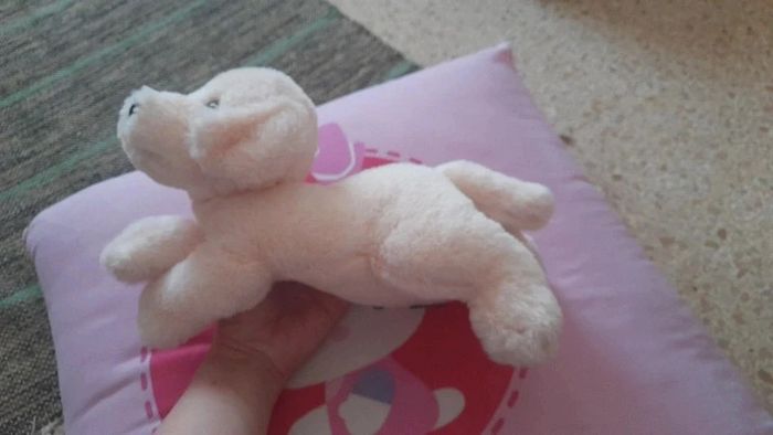 Doudou chien - photo numéro 2