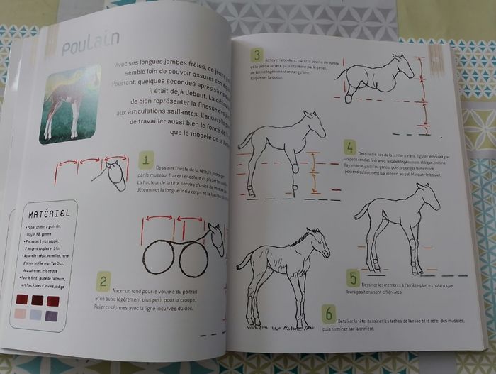 Dessiner et peindre les animaux - photo numéro 5