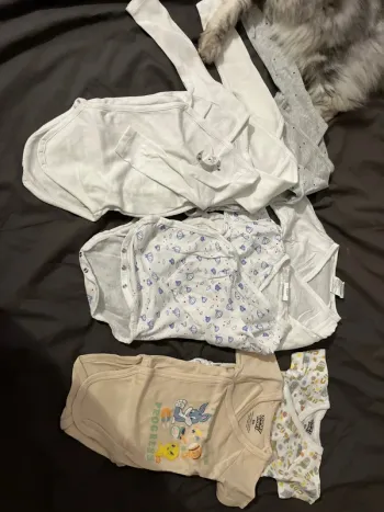 Lot 7 body