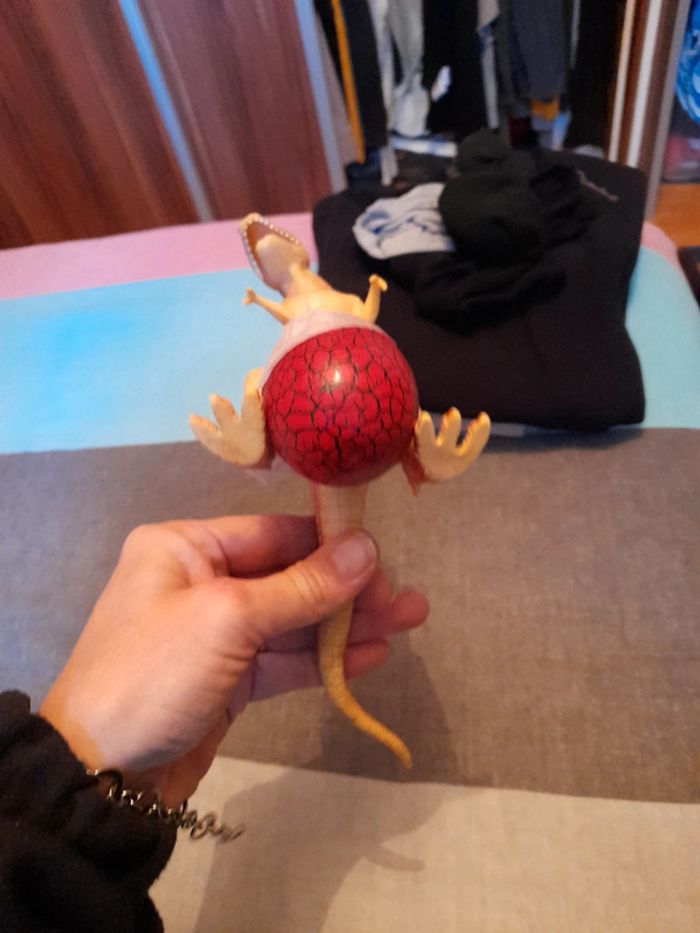 Dinosaure 🦕 et son œuf - photo numéro 3