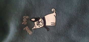 Sweat capuche garçon 👦 4 ans