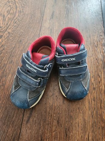 Petite basquettes geox 22