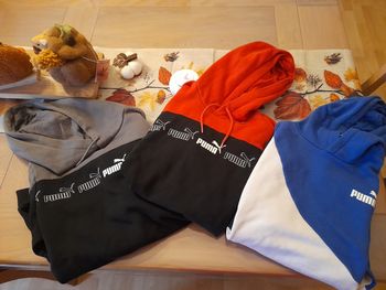 Pull puma taille S ( 16 ans )