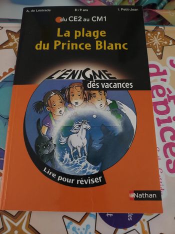 Livre l'énigme des vacances La plage du prince blanc