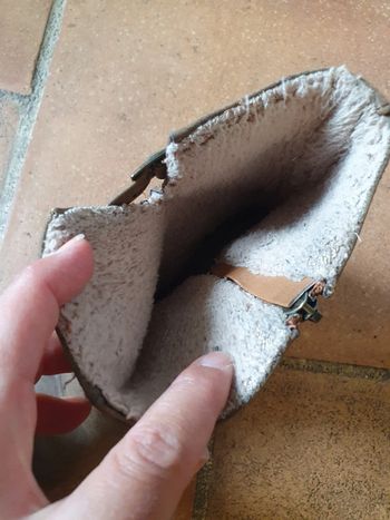 Bottines beige taupe