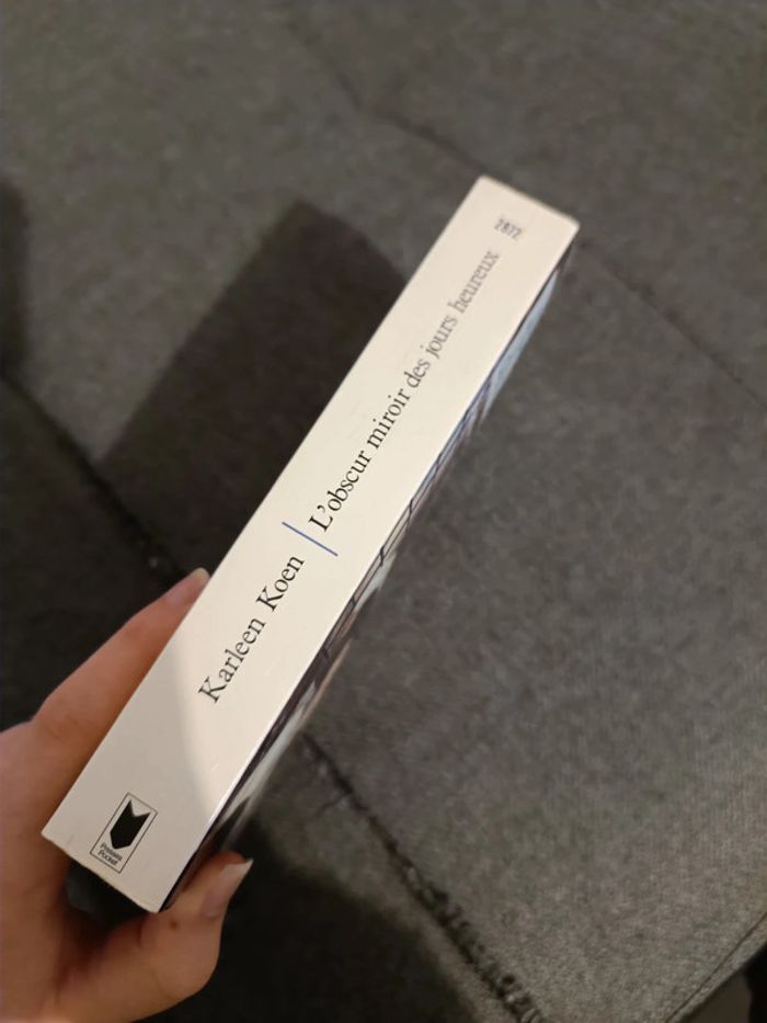 L'obscur miroir des jours heureux - Karleen Koen - photo numéro 3