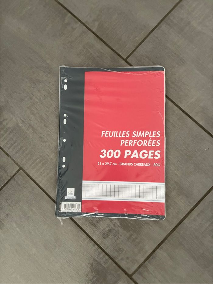 1 paquet 300 feuilles simples