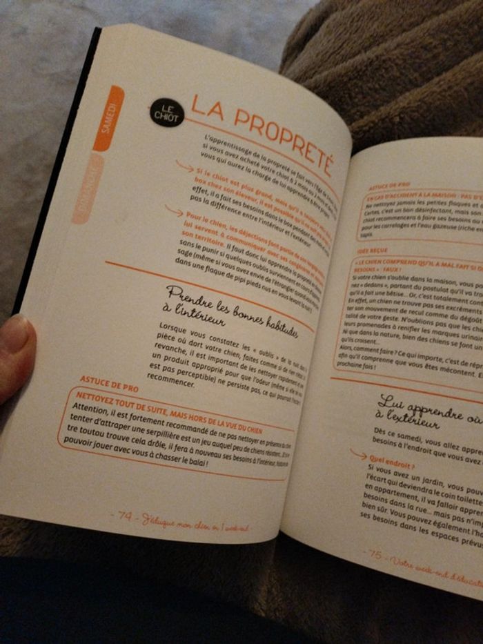 J' éduqué l'on chien en un week end - photo numéro 4