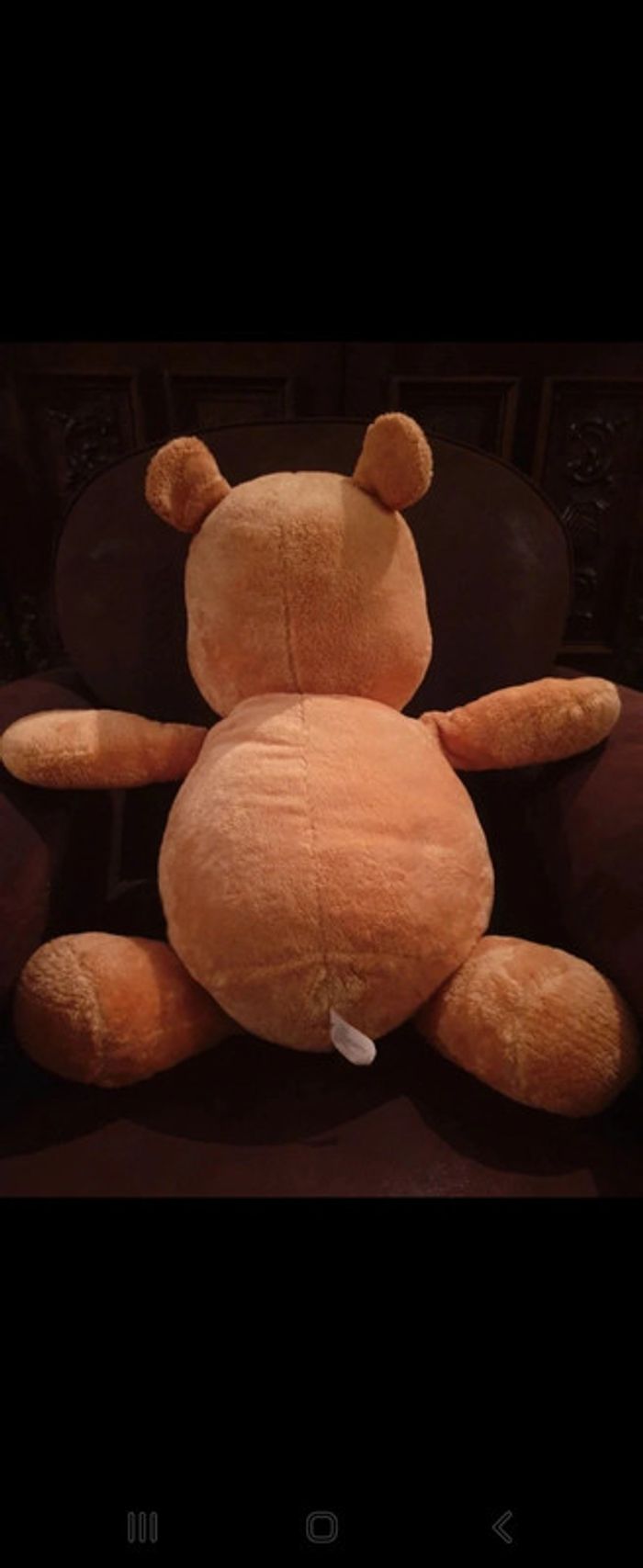 Peluche 60cm Winny l'ourson - photo numéro 3