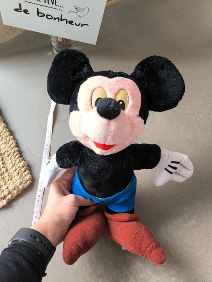 Mickey - photo numéro 3