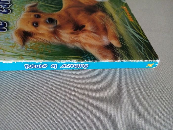 Livre enfant - photo numéro 10