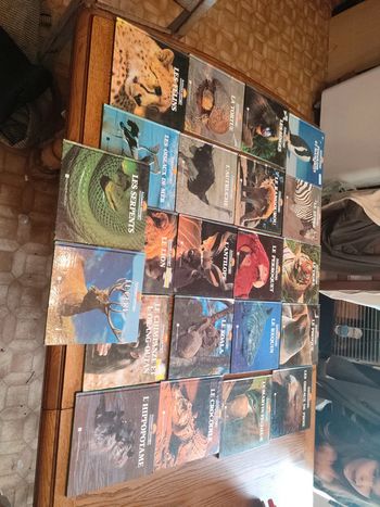 Lot 22 livres collection animaux sauvages