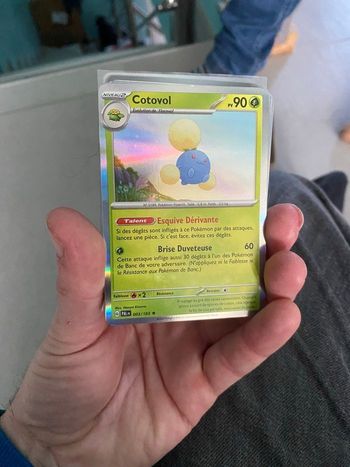 100 cartes Pokémon brillantes 