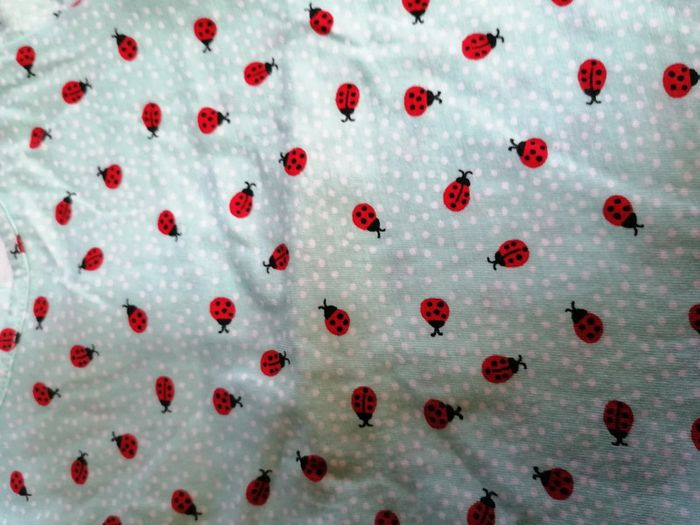 T-shirt coccinelle - photo numéro 2