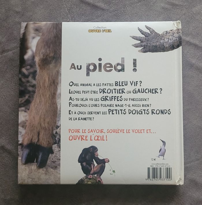 Au pied ! Stéphane Frattini - photo numéro 8