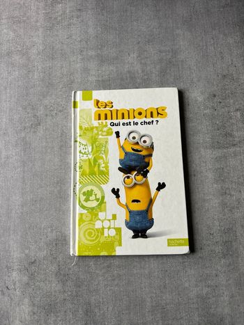 Livre les Minions qui est le chef